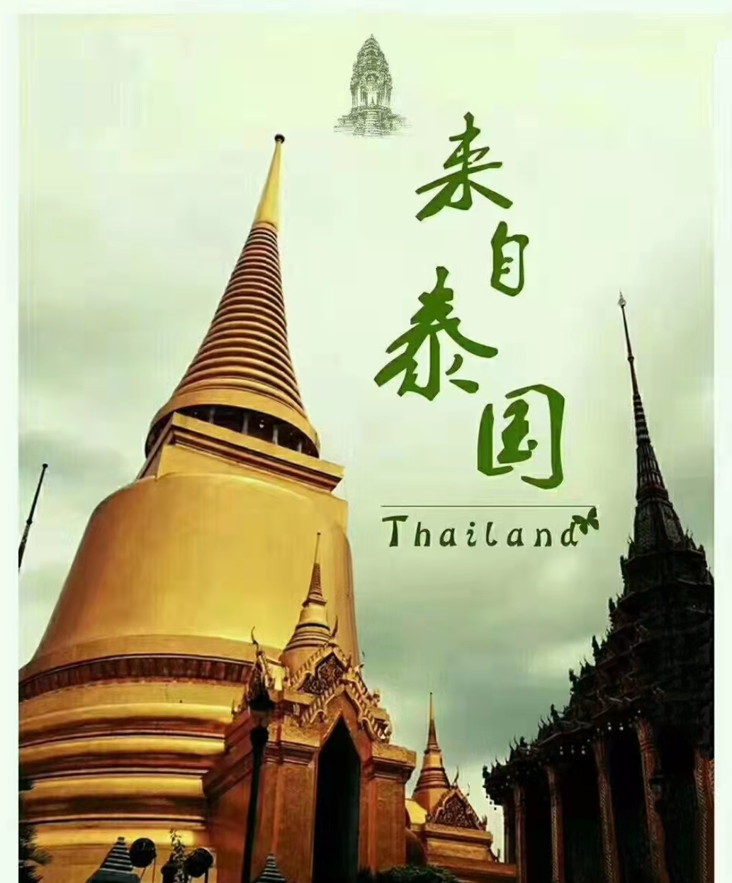 南京正宗抓龙筋（2024/今日更新）